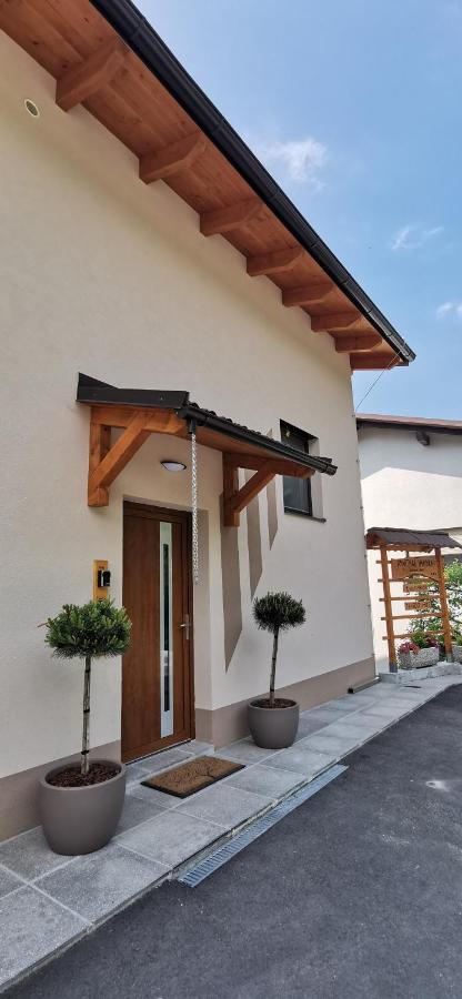 Apartmaji Tmaynka Tolmin Exteriör bild